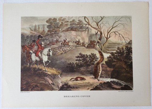 Chasse courre breaking - chasse,