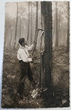 Carte Postale Ancienne, Travailleur, Gemmeur