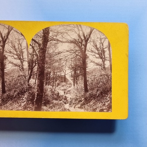 Fairlight glen stereoview - glen,