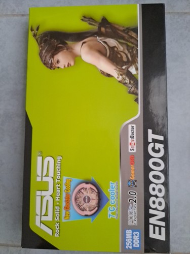 8800 256 ram ddr2 - ram,