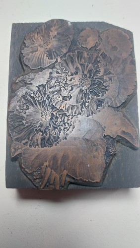 Plaque gravure botanique - gravure,