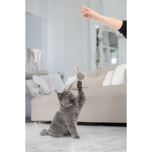 Jouet pour chat souris - , en