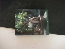 ** Les mini Larousse  Bonsaï , Cèdre  Eugenia Figuier Pin Pommier Orme de Chine