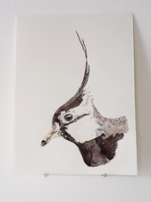 Vanneau huppé AQUARELLE ORIGINALE Portrait d'oiseau Wall Art Home Decor Peinture