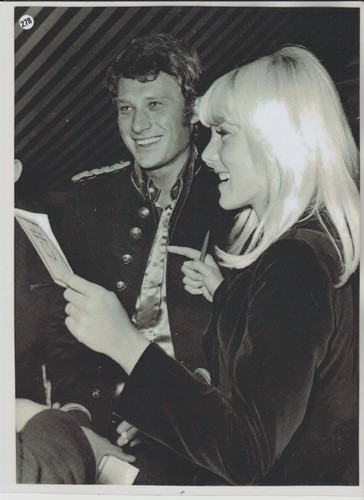 Johnny hallyday n - hallyday, n°