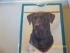 Chocolate Lab LABRADOR