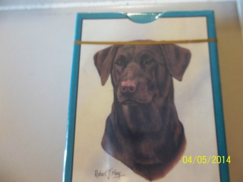 Chocolate lab labrador - chocolate,
