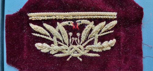 Broderie médecin général - broderie, or