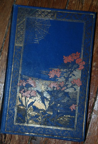 Beau livre ancien gravures - ancien,