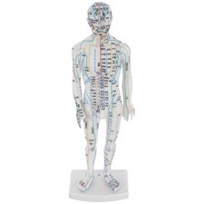  Modèle d'acupuncture du corps humain : Mannequin de points
