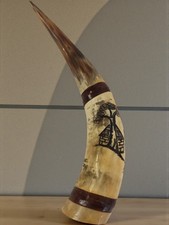 Très grande corne de taureau