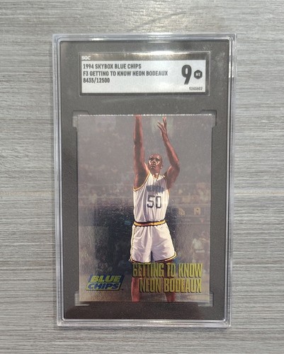 1994 skybox blue chips foil - 1994,