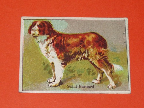 Chromo 1900 1925 chocolat - 1900-1925,