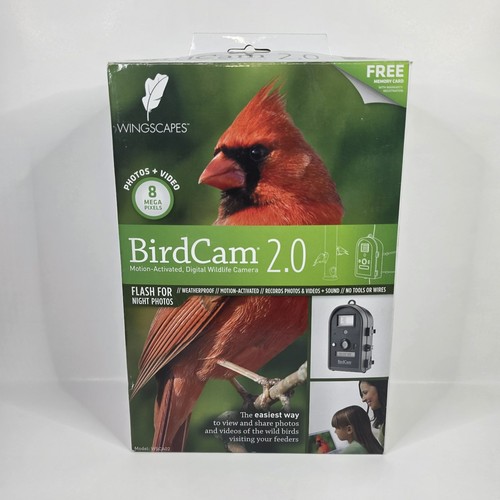 Bird camera wingscape - by,