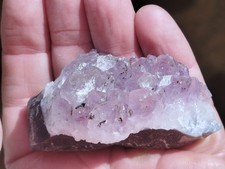 PROMOTION: GROSSE DRUSE D'