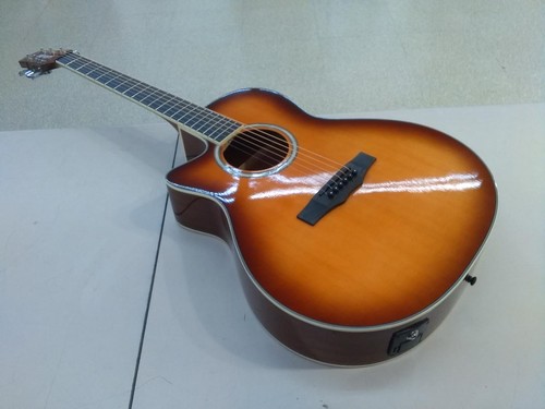 Guitare acoustique électrique