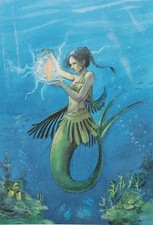 Frédéric PEYNET : La