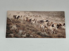 Nestlé MERVEILLES DU MONDE