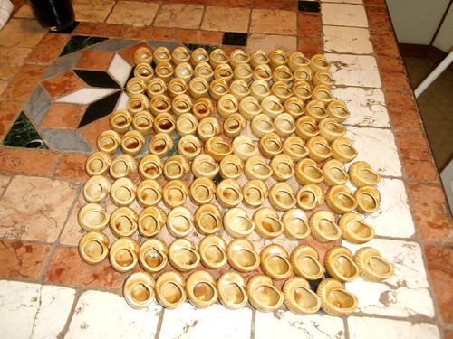 Lot 100 godets coquilles - 100,