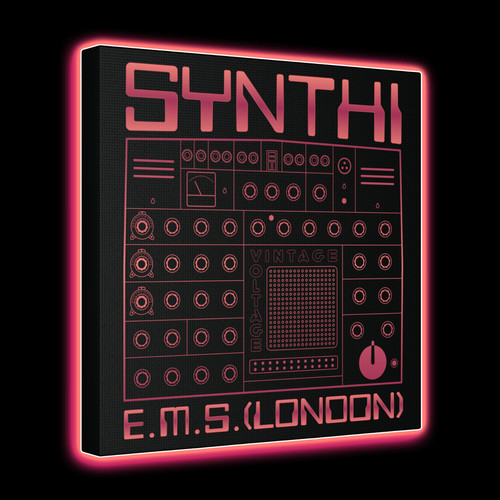 Ems synthi canvas wall art - ems,