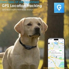 Collier gps etanche - collier, 4g