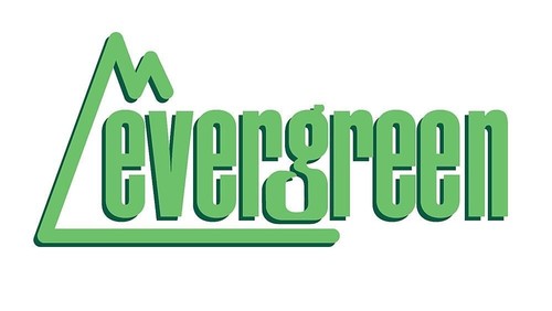 Evergreen 514101 coffrage - 514101,