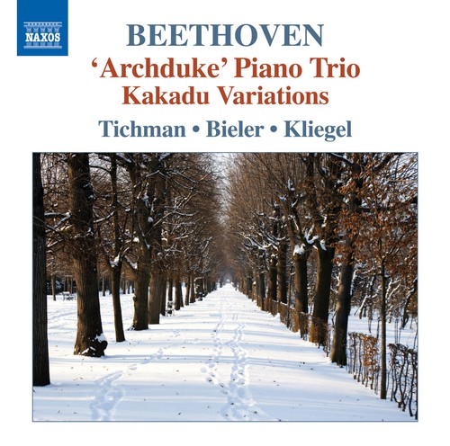 Ludwig van beethoven - van,