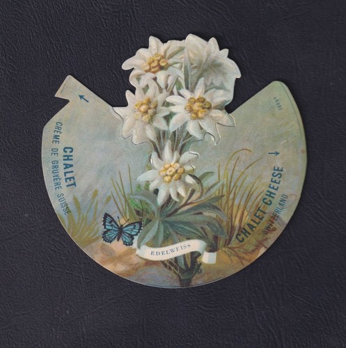 Ancienne étiquette cartonnée