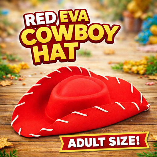 Chapeau cowboy cowgirl - cowboy,