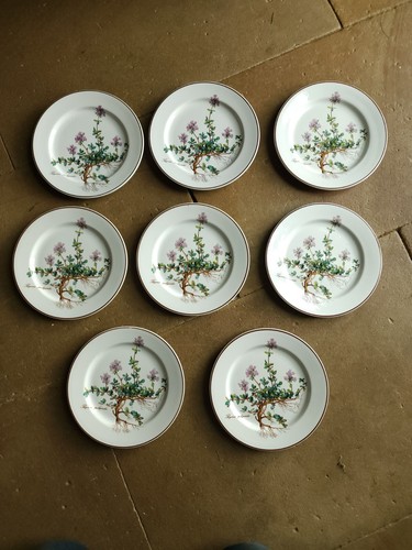 Botanica villeroy boch 8 - botanica,