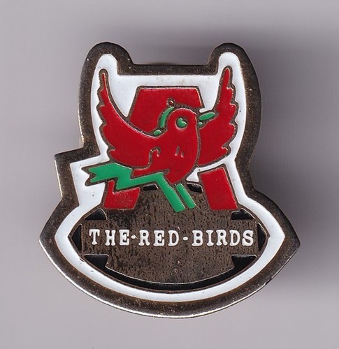 Rare pins pin sport rugby - pins,