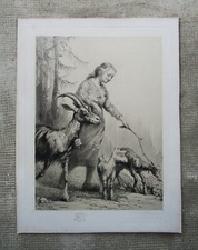 Superbe ancienne eau-forte signée Omer Bouchery numérotée 8/50 chèvres tableau.