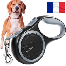 Laisse pour chien rétractable 5m – Solide 50kg, promenade facile
