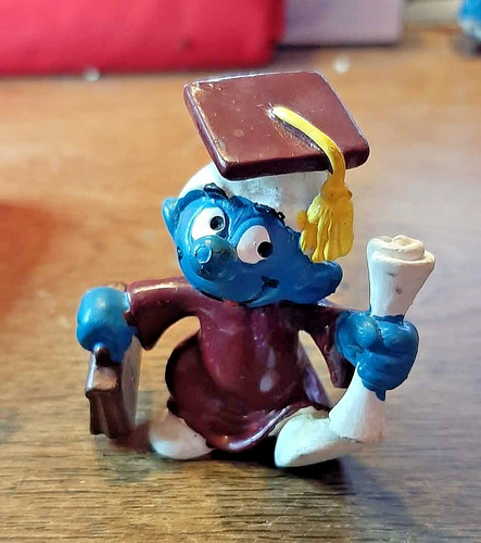 Schtroumpf diplômé 20130
