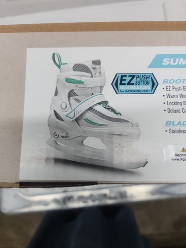Lake placid summit - placid,