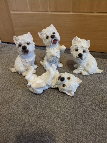 Collection westie scottie - westie,