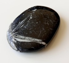 Galet en Jaspe Chrysanthème (44,8 g)