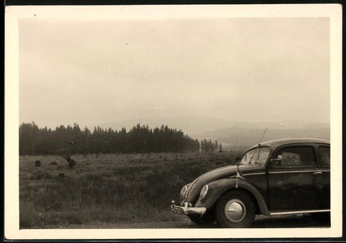 Photographie voiture - , vw