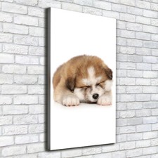 Tulup Tableau Sur Toile Image Imprimé 50x100cm - Chiot Akita