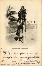 CPA AK ALGERIA Geiser 2