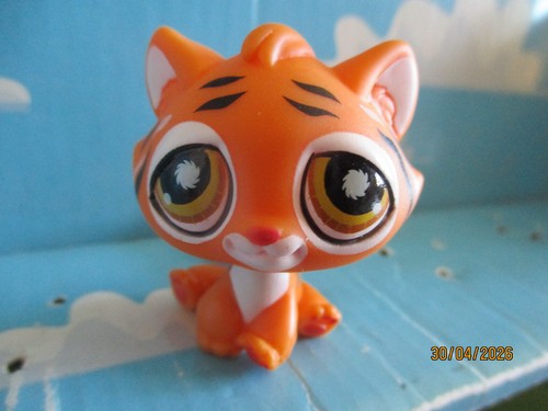 Petshop tigre 905 - tigre, "