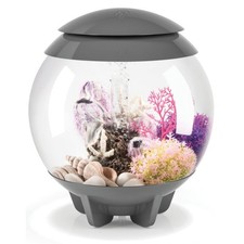 biOrb Halo 15 Authentic 4