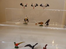  starlux zoo série des petits animaux dont kiwi écureuil cygne serpentaire