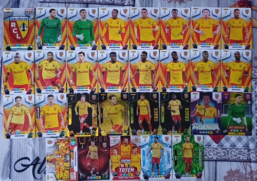 Panini adrenalyn ligue 1 - panini,