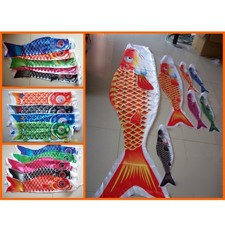 Coupe vent carpe japonaise