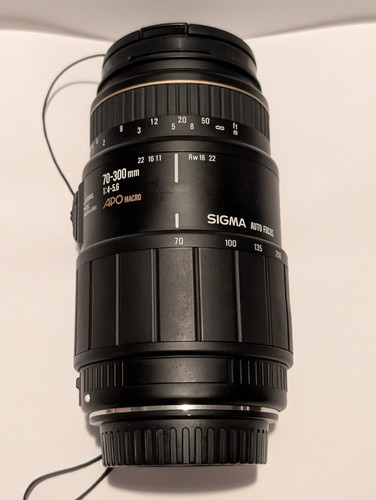 Near mint sigma - near,