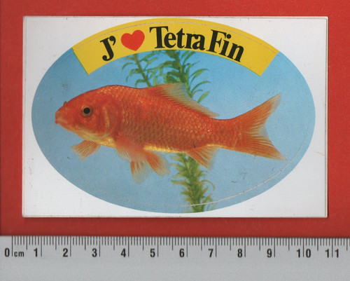 Tetra fin aquariophilie - ❤,