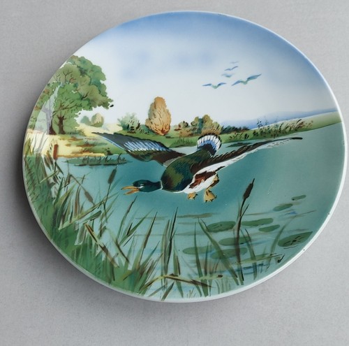 Grande assiette mural - , canard