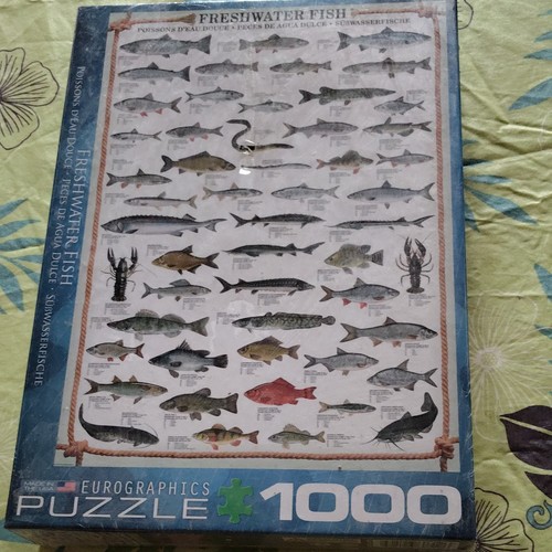 Eurographics puzzle - eurographics,