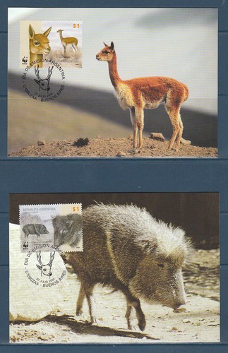 Wwf carte argentine - ,